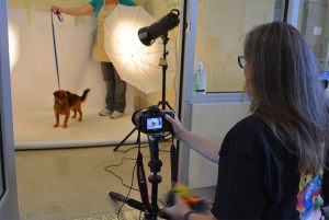 Volunteer Readies to Capture 15,000th Pet — on Film