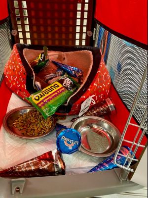 Crate with burritos and ice cream cones
