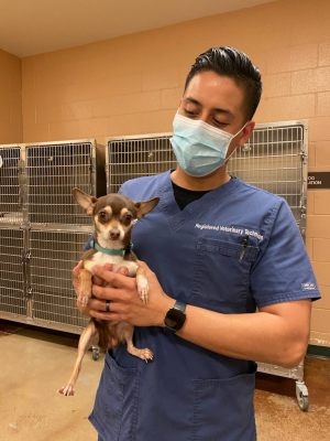 Registered Vet Tech Ivan Herrera with burrito doggy after examination