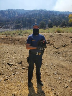 Bobcat Fire-Mike Cox and chicken