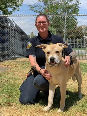 Sgt Kellsey Hoesman with A-1635919-4 YR OLD shepherd mix-male