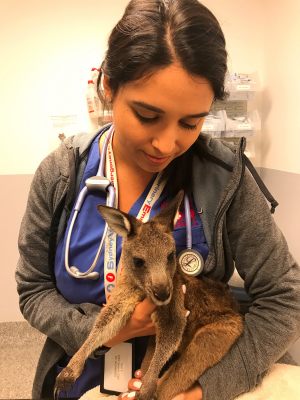 Itzel with Kangaroo