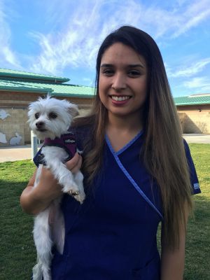 LOLA-carjacked dog-being held by Registered Veterinary Technician Itzel Vizcarra-Photo by Elissa Messenger
