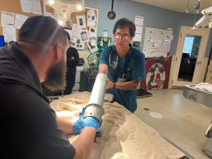 PIPER-Veterinary Dr. Luis Lizarraga works on removing the kitten from the pipe