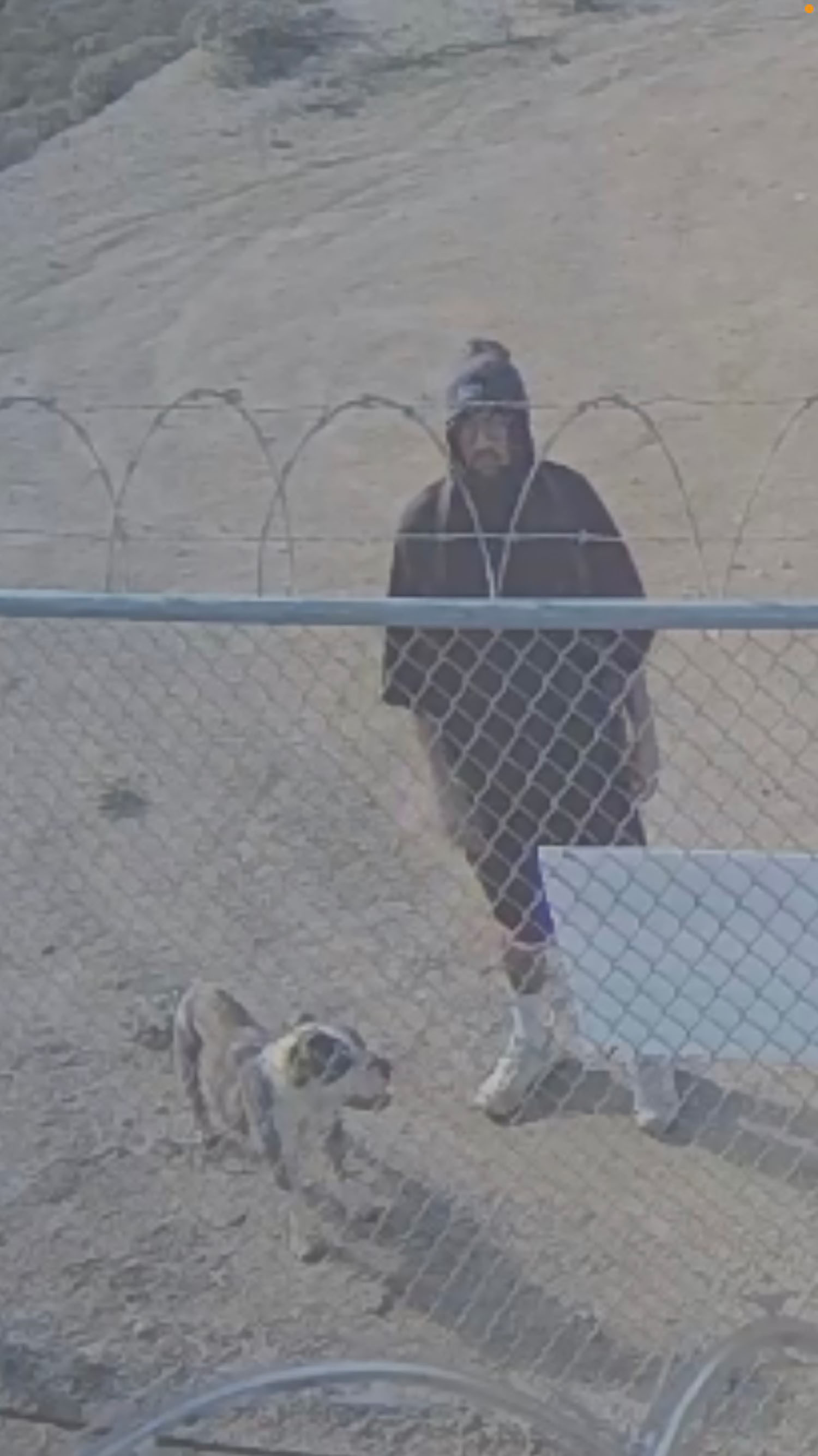 man suspected of willful abandonment of an animal