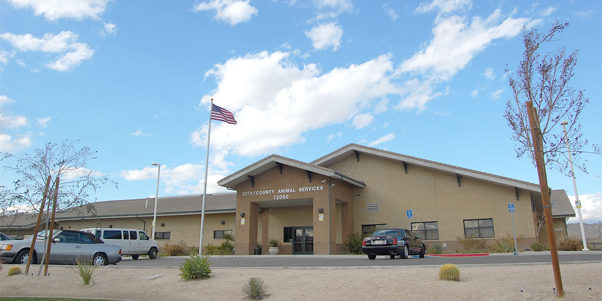 Coachella Valley Animal Campus x1200