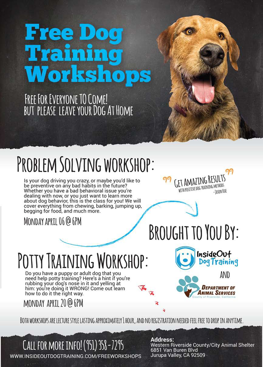 15 0401 Shelter Workshop