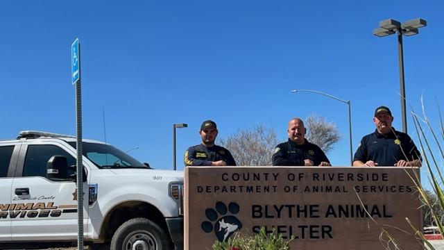 Three animal control officers standing behind the Blythe Shelter sign. An animal control truck is in the background of the photo.