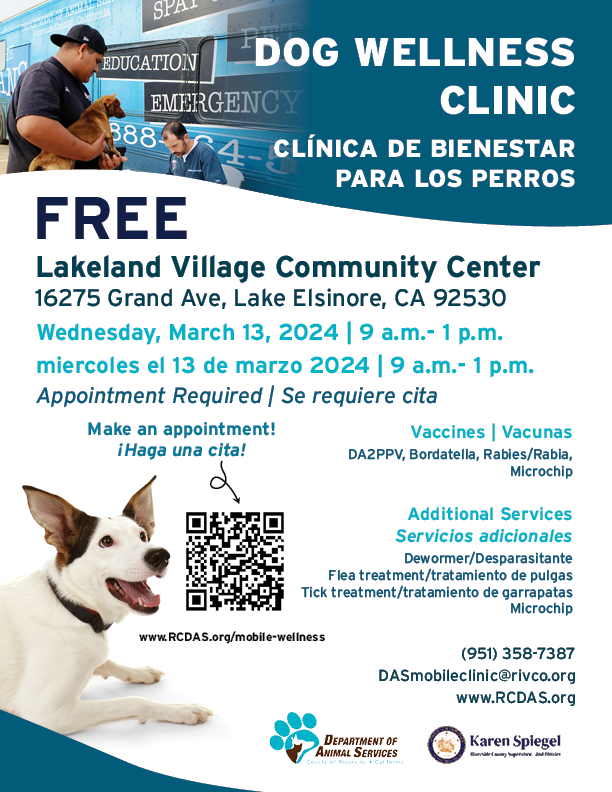 Flyer for March 13 Wellness Clinic in Lake Elsinore, CA