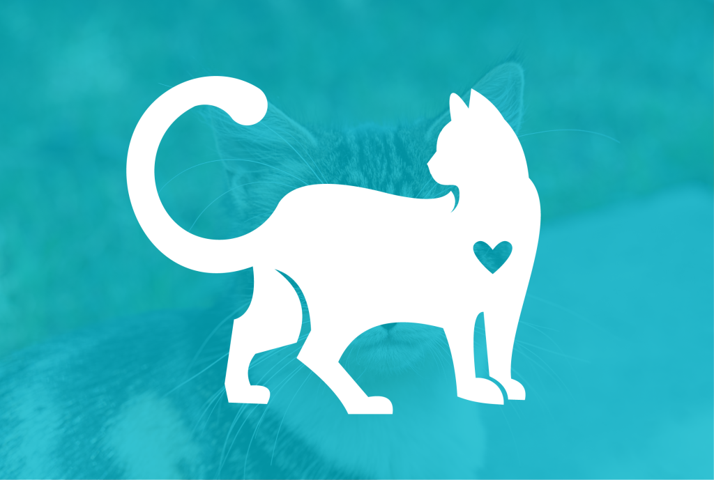 White Cat Icon with heart on blue overlay