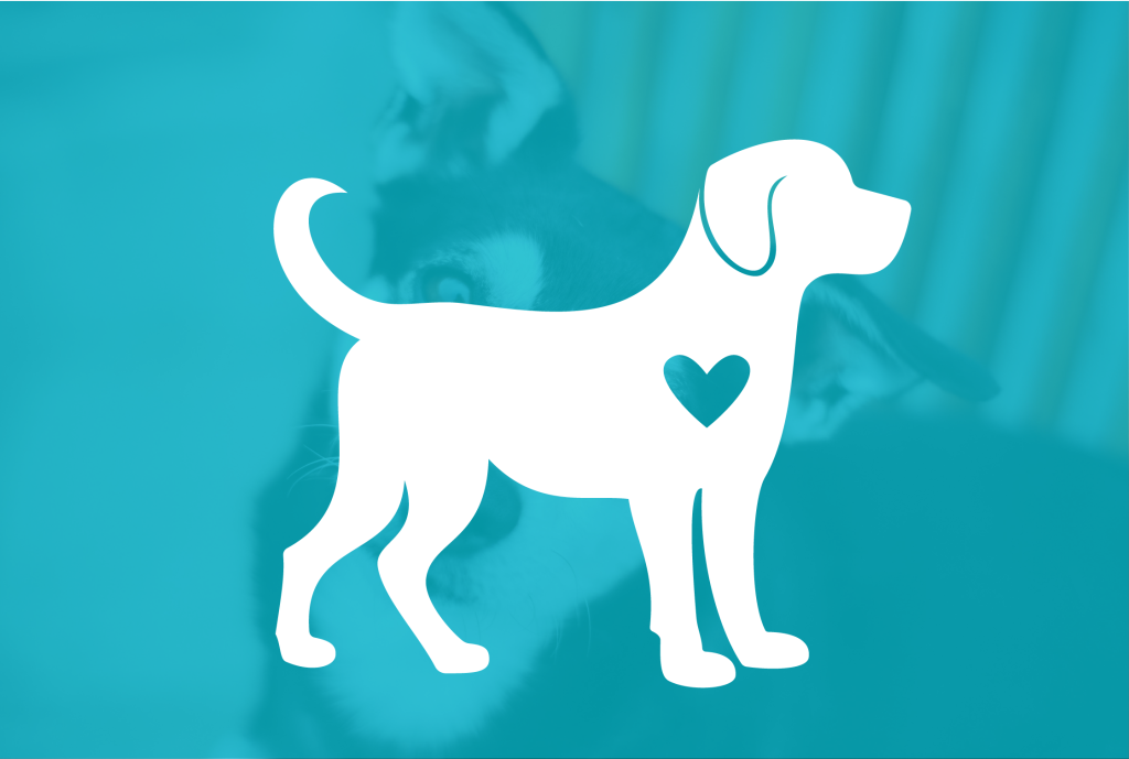 White Dog Icon with a heart on top of a blue overlay