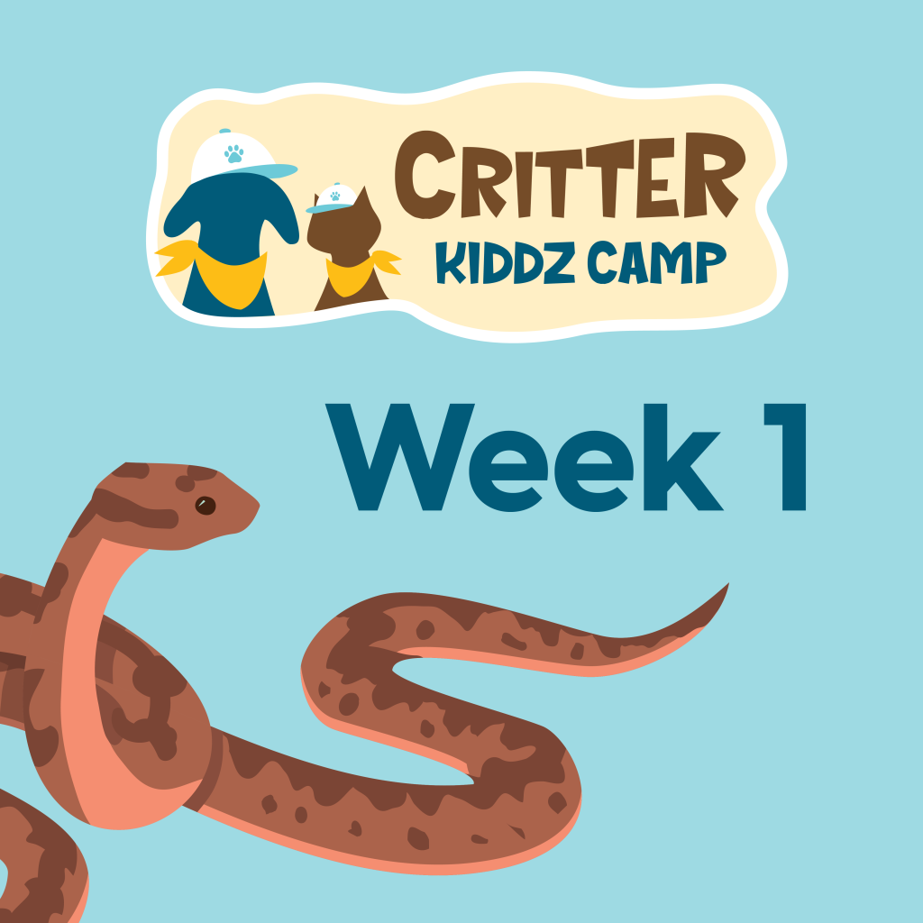 Thumbnail for Critter Kiddz Camp Week 1