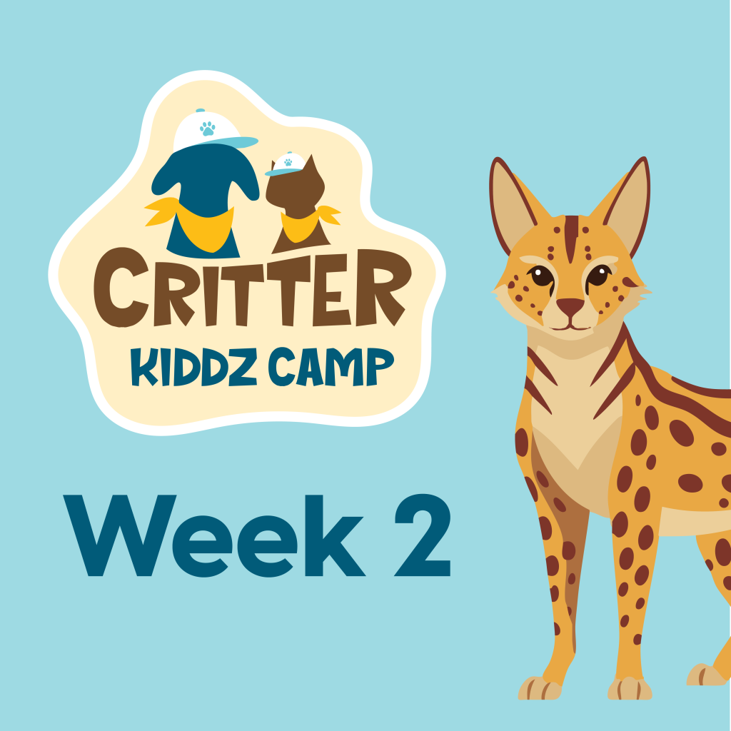 Thumbnail for Critter Kiddz Camp Week 2