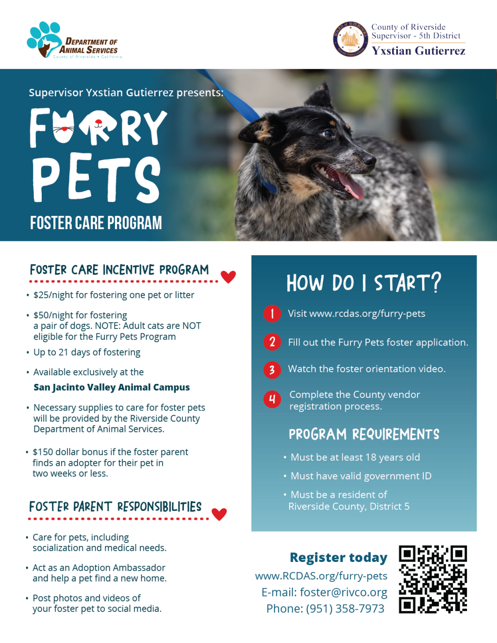 Flyer for Furry Pets Foster Program