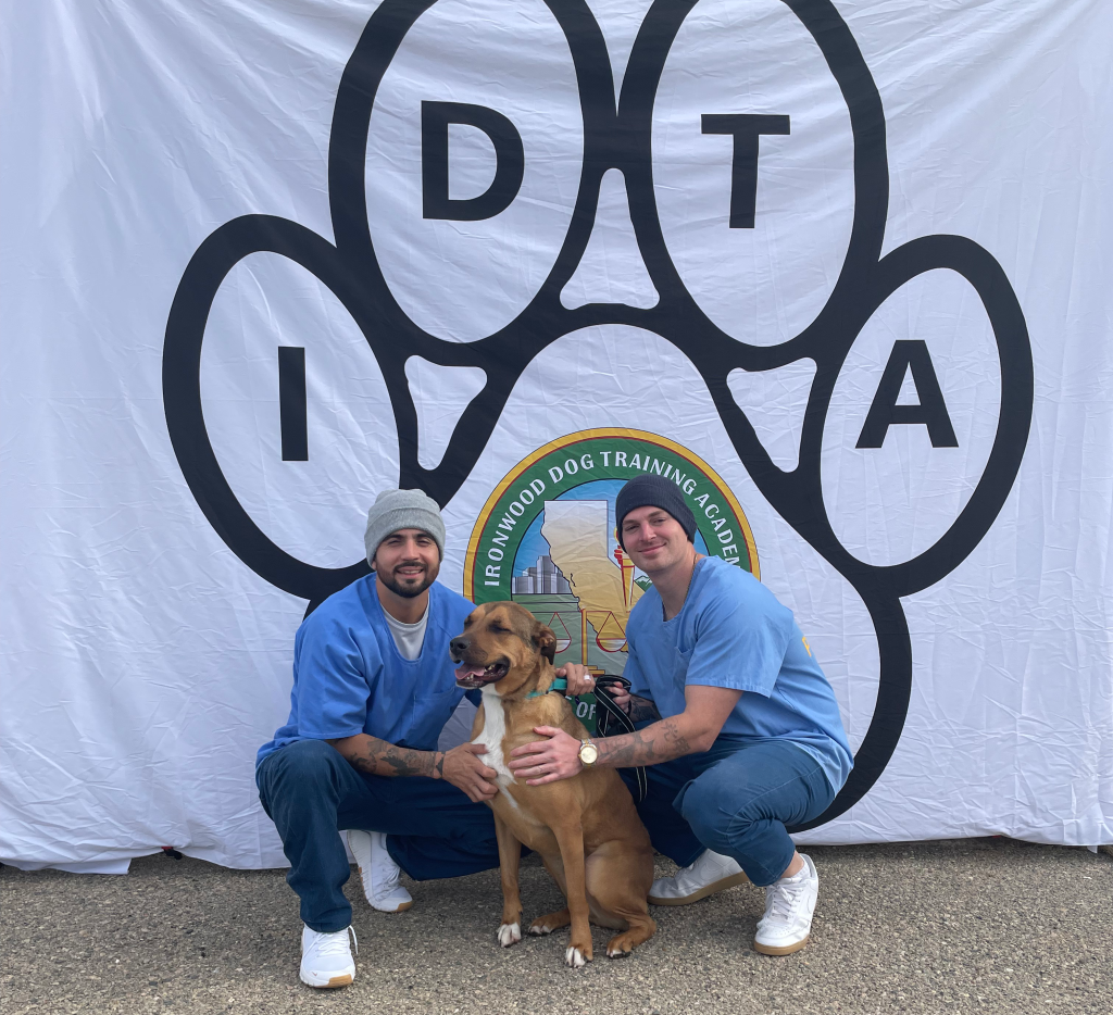Ironwood Dog Foster Participants