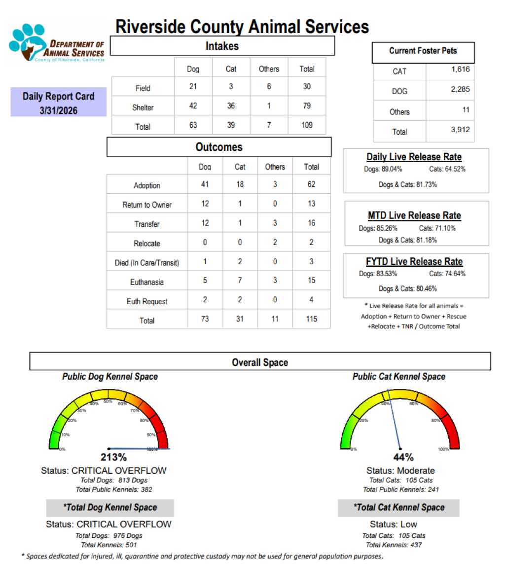 RCDASDAILYREPORTCARD_3.31.26