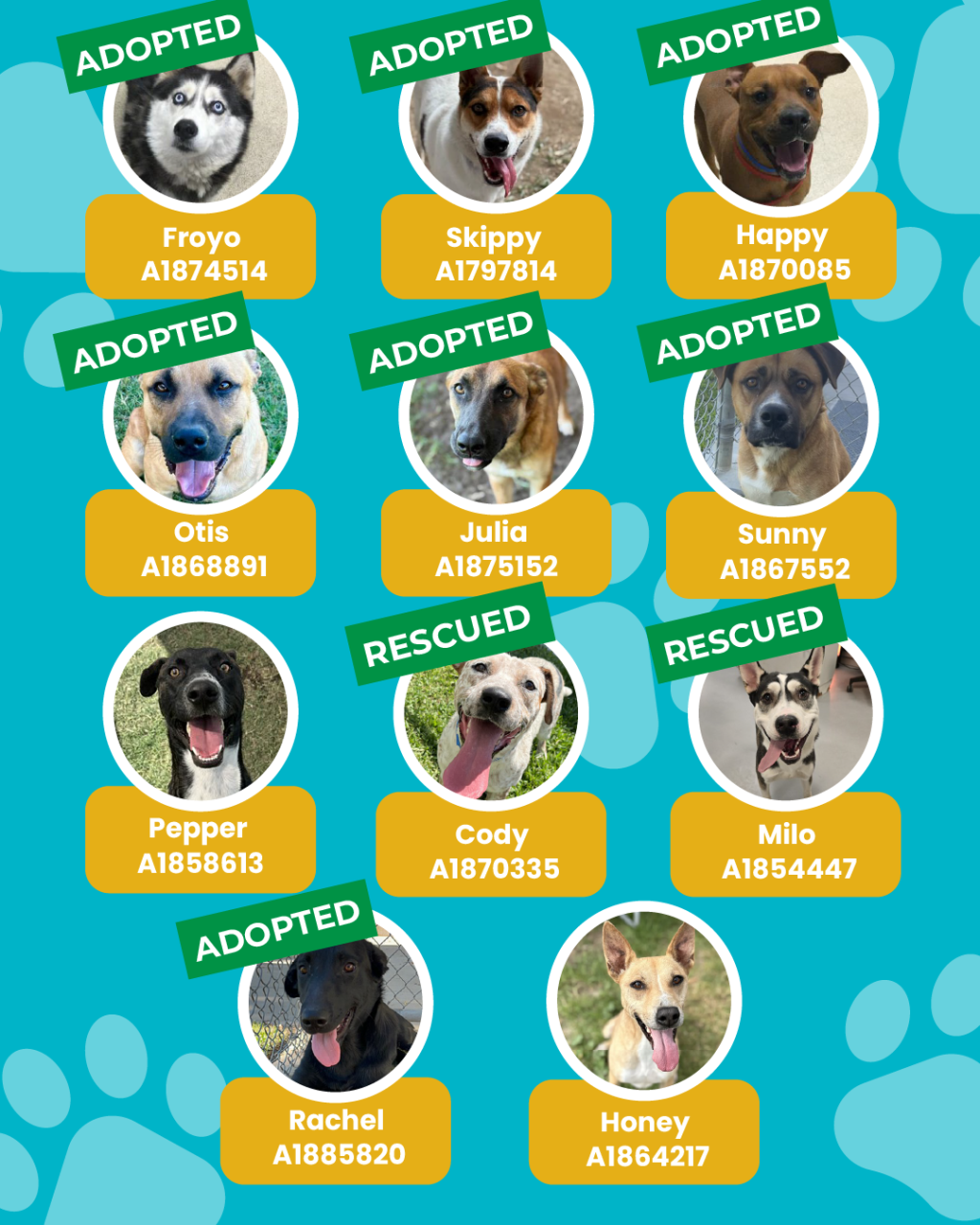 List of currently adopted dogs and available dogs for the ironwood state program