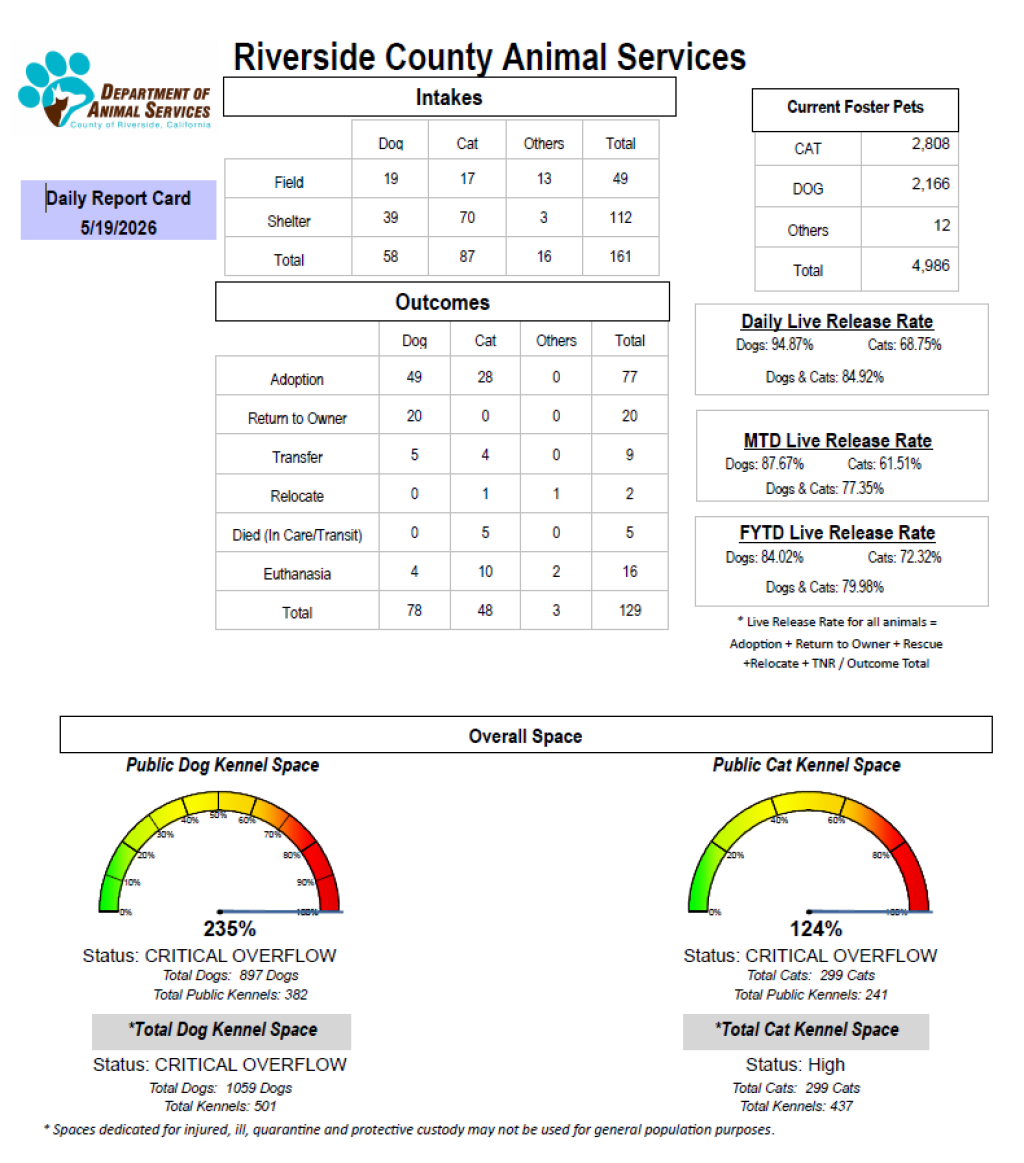 Daily report card of RCDAS Intake/outcome 