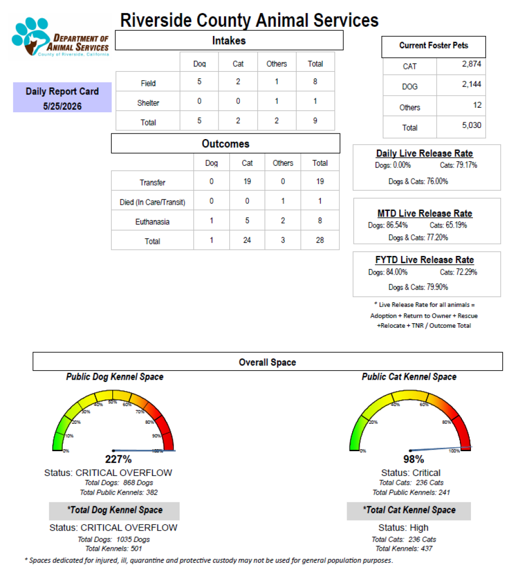 Daily report card of RCDAS Intake/outcome 