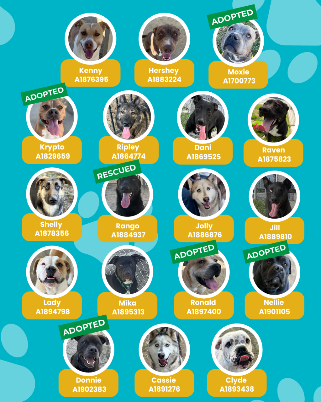 List of currently adopted dogs and available dogs for the ironwood state program