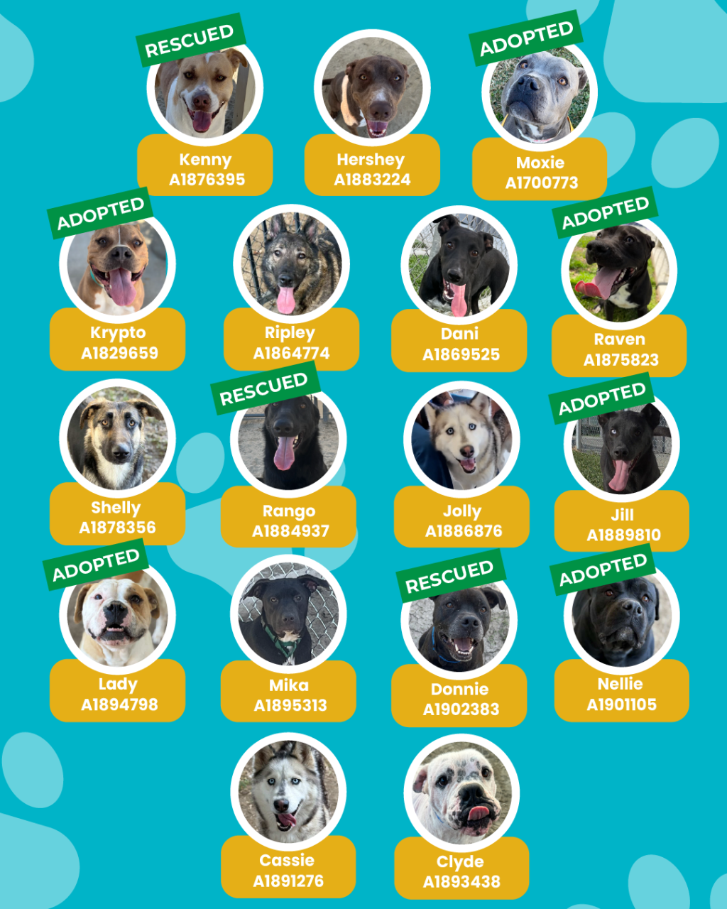 List of currently adopted dogs and available dogs for the ironwood state program