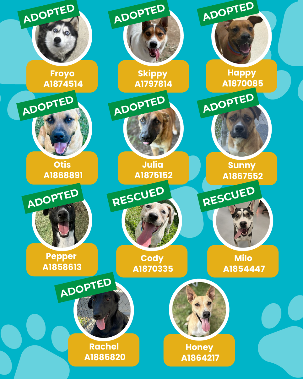 List of currently adopted dogs and available dogs for the ironwood state program