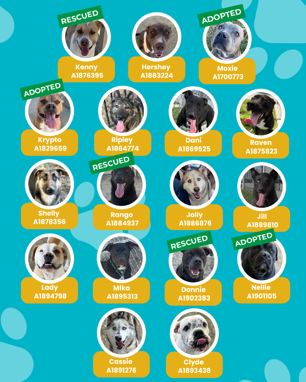 List of currently adopted dogs and available dogs for the ironwood state program
