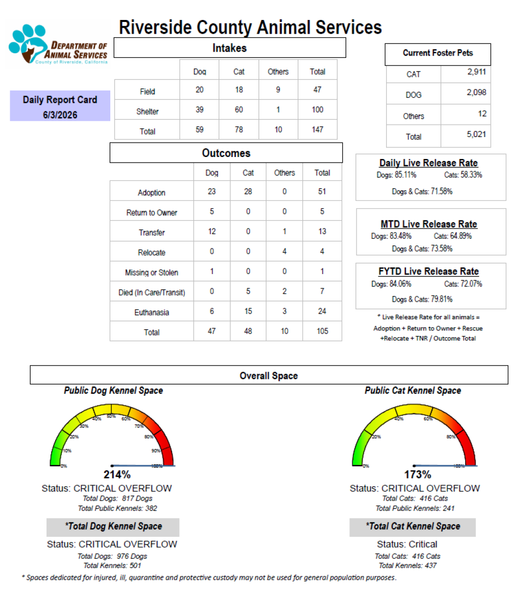 Daily report card of RCDAS Intake/outcome 