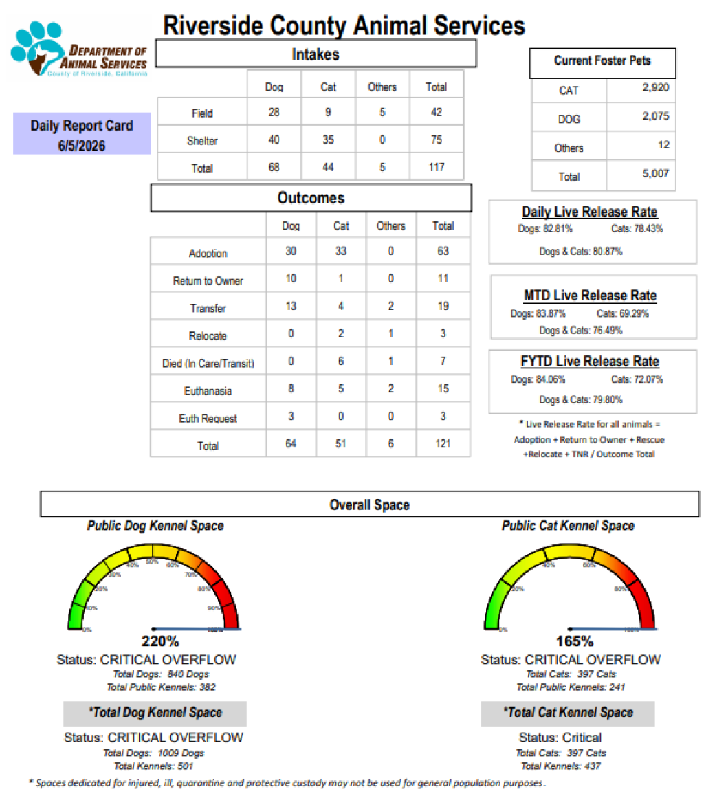 Daily report card of RCDAS Intake/outcome 