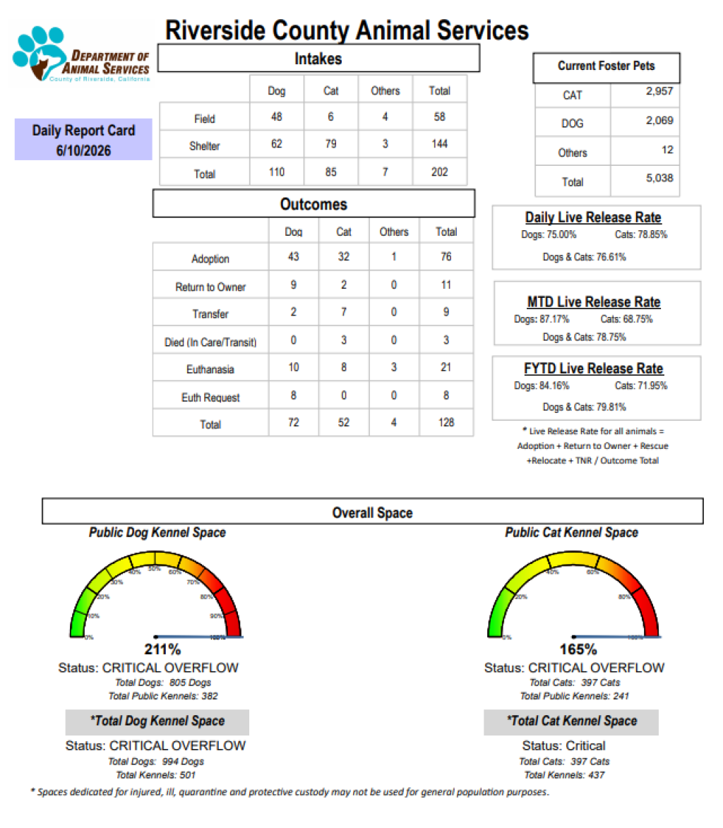 Daily report card of RCDAS Intake/outcome 