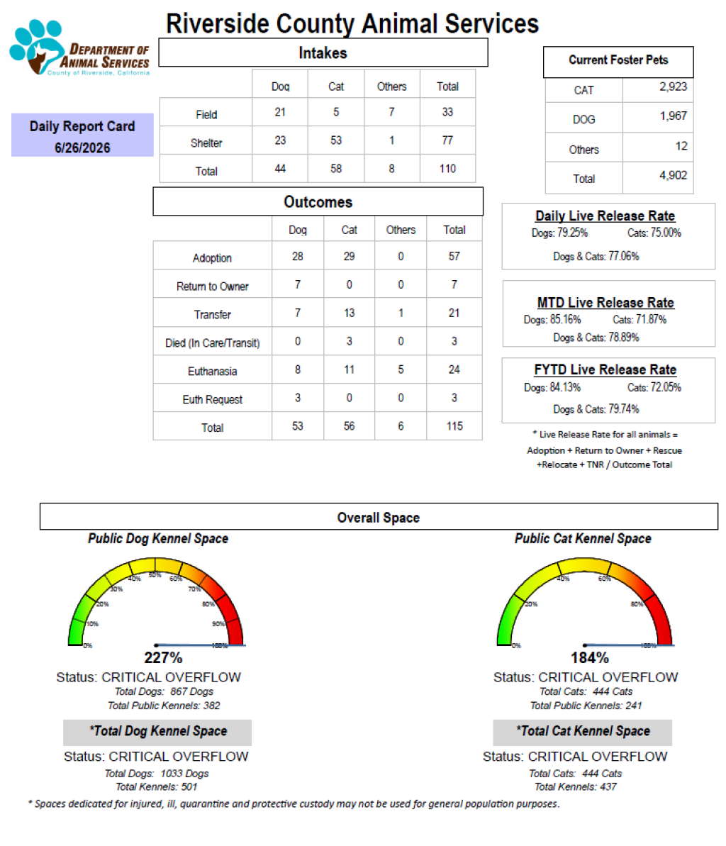 Daily report card of RCDAS Intake/outcome 