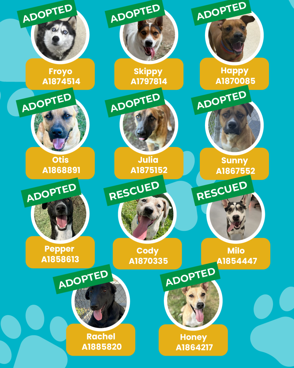 List of currently adopted dogs and available dogs for the ironwood state program
