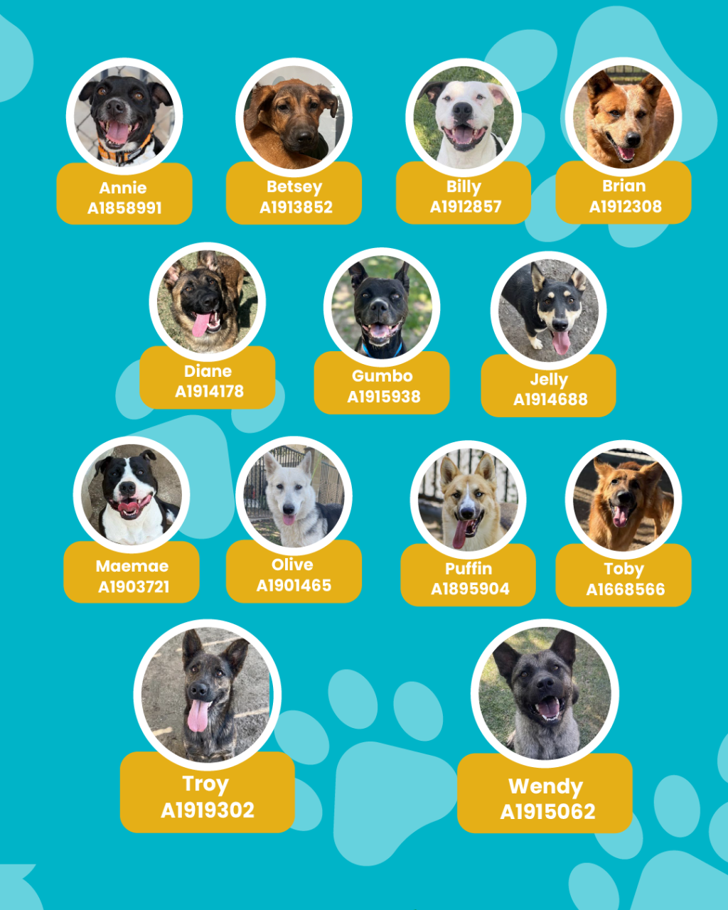 List of currently adopted dogs and available dogs for the ironwood state program