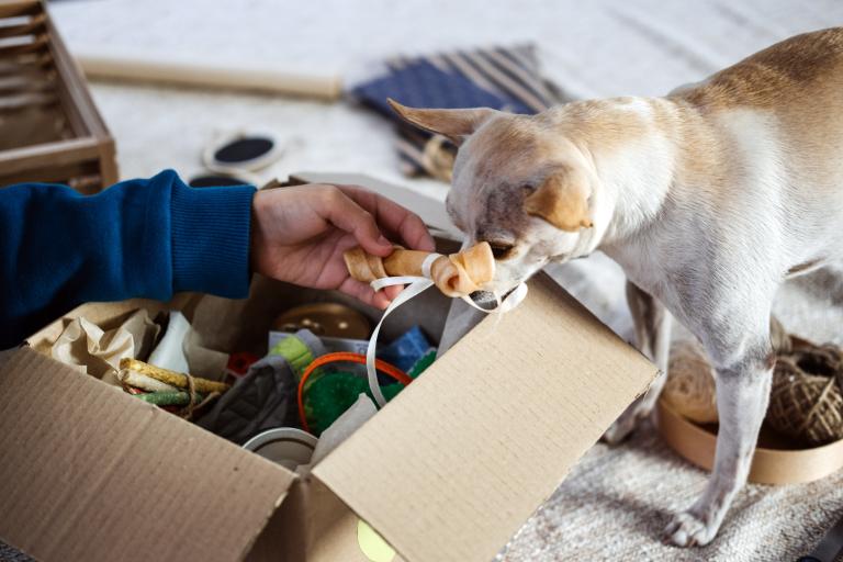 Man holding a bone out to a dog over a box of various other pet items