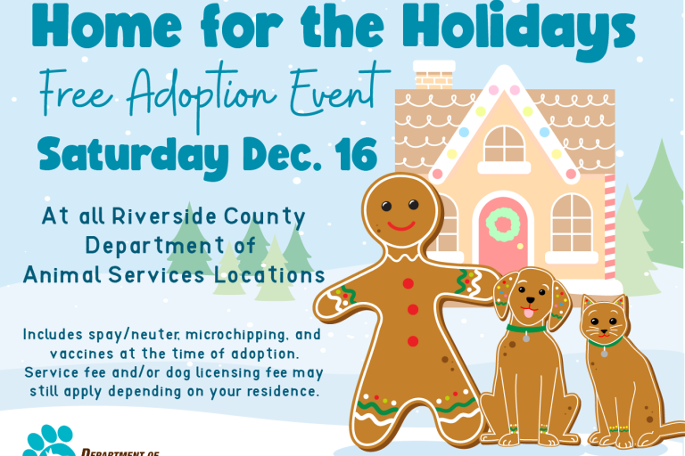 Home for the Holidays Free Adoption Event | Riverside County Department ...