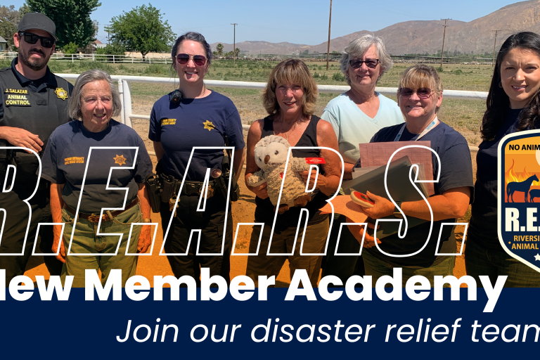 Banner for REARS disaster relief volunteer team training academy to be held on Saturday, February 24, 2024