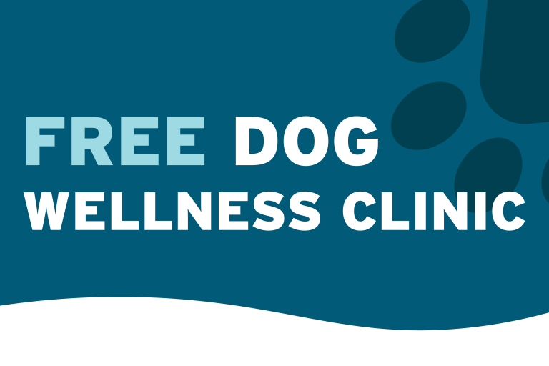 Light Blue and White Text Reading Free Dog Wellness Clinic. Text is on a dark blue background