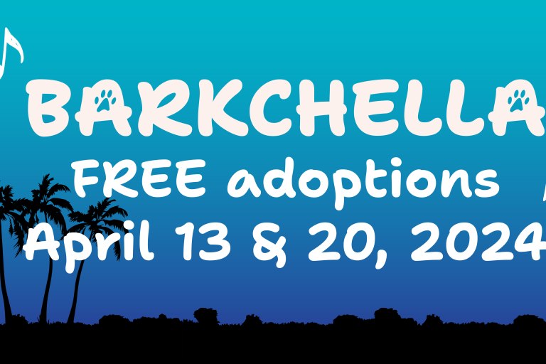 White Text Reading "Barkchella Free Adoptions April 13 and 20, 2024" on top of a blue background.