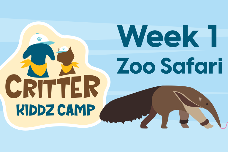 Critter Kiddz Camp Week 1 Thumbnail Image