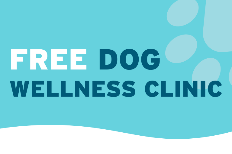 Type on blue background reading Free Dog Wellness Clinic