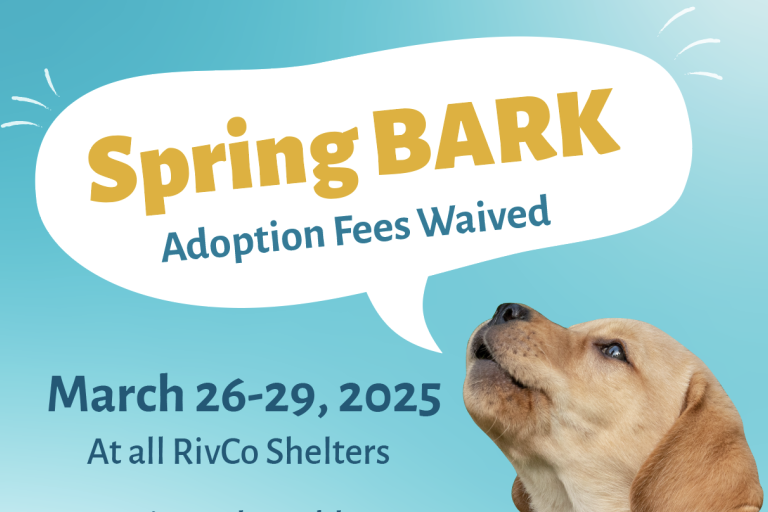 Thumbnail for Spring Bark Free Adoption Event