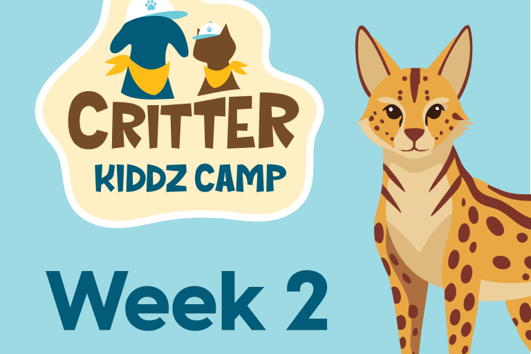 Thumbnail for Critter Kiddz Camp Week 2