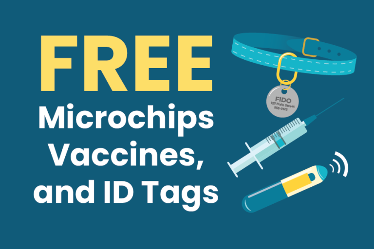 Thumbnail for Free Microchip, Vaccination and ID Tag Day