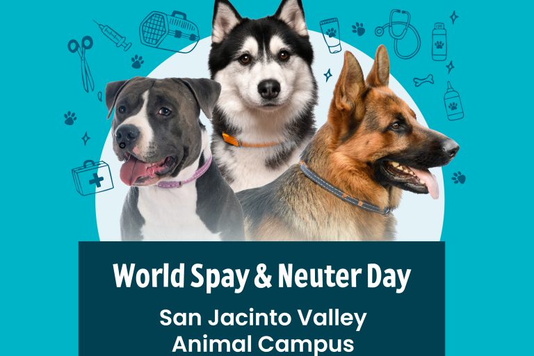 Thumbnail for World Spay Neuter Day San Jacinto