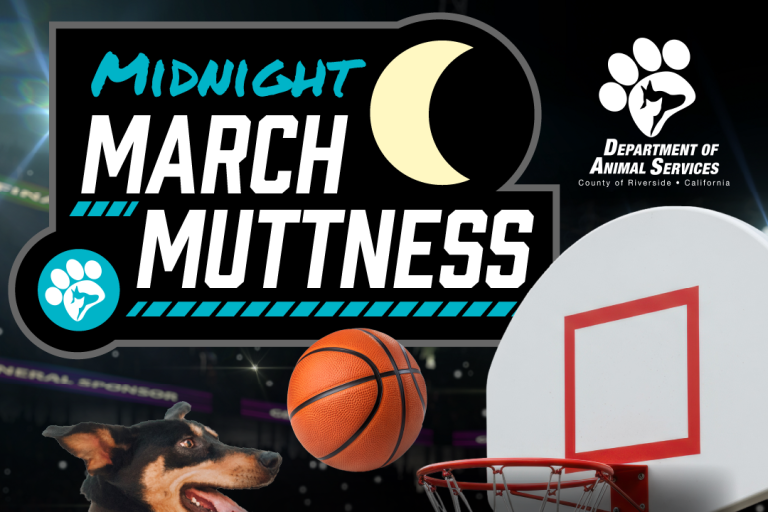Flyer for Midnight March Muttness