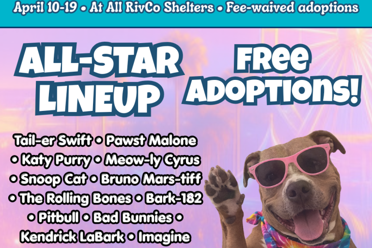 graphic promoting adoption