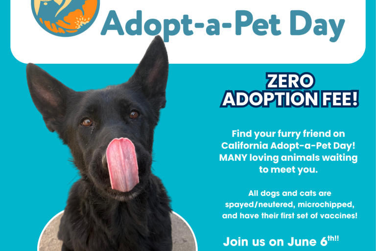 California Adopt a pet day graphic