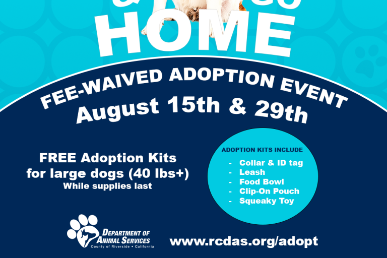 Large dog available for adoption at Go Big & Go Home event, August 15 and 29 — dogs 40+ lbs adopted these days receive a free Adoption Kit.
