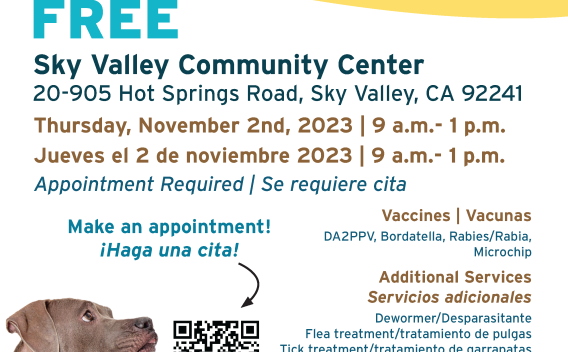 Flyer for November 2 Wellness Clinic in Sky Valley, California