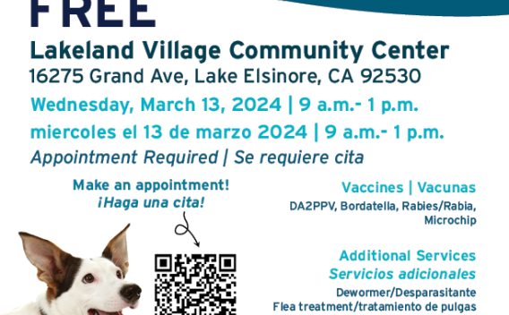 Flyer for March 13 Wellness Clinic in Lake Elsinore, CA
